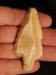 A Long Stemmed Aterian Artifact 55,  000 To 12,  000 Years Old Algeria 15.  70 Neolithic & Paleolithic photo 2