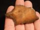 A Big Stemmed Aterian Lithic Artifact 55,  000 To 12,  000 Years Old Algeria 24.  1 Neolithic & Paleolithic photo 3