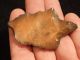 A Big Stemmed Aterian Lithic Artifact 55,  000 To 12,  000 Years Old Algeria 24.  1 Neolithic & Paleolithic photo 6