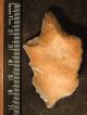 A Big Stemmed Aterian Lithic Artifact 55,  000 To 12,  000 Years Old Algeria 24.  1 Neolithic & Paleolithic photo 7