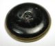 Antique Tinted Brass Button Sea Serpent W/ Snail On Its Tail Design Buttons photo 1