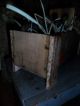 Primitive Early Look Bin,  Old Wood Cheese Box,  Lath Legs,  Sunflower Heads/walnuts Primitives photo 9