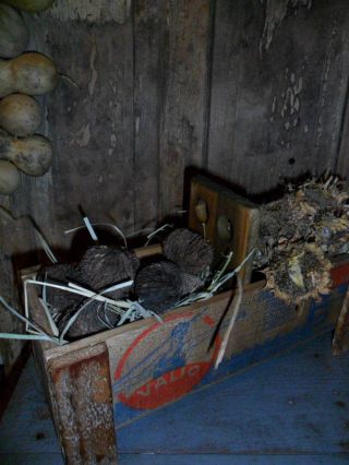 Primitive Early Look Bin,  Old Wood Cheese Box,  Lath Legs,  Sunflower Heads/walnuts photo