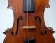 Fine Old German Handmade 4/4 Fullsize Violin Handcarved Aschinger Border String photo 3