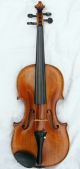 Antique Violin Labeled Alois Leja Wien 1873 Ready - To - Play String photo 1