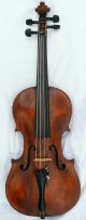 Antique Violin Labeled Bittner And Other Label String photo 1