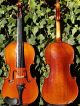 Authentic French Violin By J.  Thibouville - Lamy & Co.  & Sound String photo 11