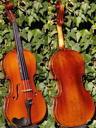 Authentic French Violin By J.  Thibouville - Lamy & Co.  & Sound photo
