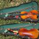 Authentic French Violin By J.  Thibouville - Lamy & Co.  & Sound String photo 3