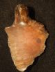 A Big Stemmed Aterian Lithic Artifact 55,  000 To 12,  000 Years Old Algeria 24.  1 Neolithic & Paleolithic photo 7