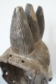 Old And Very Rare Zoomorphic Kulango Mask.  Fine Example.  Ivory Coast. Other African Antiques photo 9