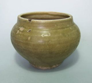 Yuan Longquan Golden Celadon Jar photo