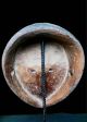 Fine Tribal Fang Mask Gabon Other African Antiques photo 3