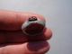 Ancient Roman Silver Ring,  The Intaglio Displayed A Running Deer Roman photo 4