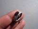 Ancient Roman Silver Ring,  The Intaglio Displayed A Running Deer Roman photo 6