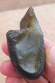 L/palaeolithic,  Mode 1 Bifacial Backed Knife On A Pebble C700 - 500k,  Kent P552 Neolithic & Paleolithic photo 1