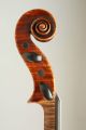 Antique 4/4 Violin Maggini Copy Circa 1890 - Figured Wood String photo 9