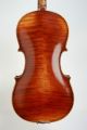 Antique 4/4 Violin Maggini Copy Circa 1890 - Figured Wood String photo 6