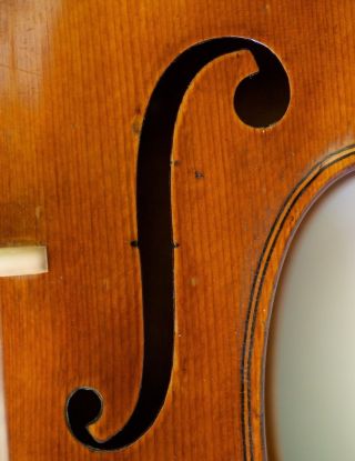 120 Years Old Great Italian 4/4 Violin By G.  Fiorini 1890 Geige Violon photo