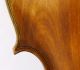 120 Years Old Great Italian 4/4 Violin By G.  Fiorini 1890 Geige Violon String photo 3