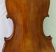120 Years Old Great Italian 4/4 Violin By G.  Fiorini 1890 Geige Violon String photo 4