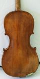 120 Years Old Great Italian 4/4 Violin By G.  Fiorini 1890 Geige Violon String photo 5