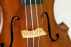 120 Years Old Great Italian 4/4 Violin By G.  Fiorini 1890 Geige Violon String photo 7