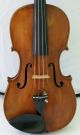 120 Years Old Great Italian 4/4 Violin By G.  Fiorini 1890 Geige Violon String photo 8