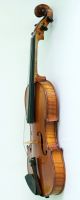 7/8 J.  F.  Pressenda 1829 Antique 4/4 Label 3/4 Old Geige Violon Great Violin String photo 10