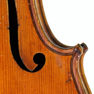 7/8 J.  F.  Pressenda 1829 Antique 4/4 Label 3/4 Old Geige Violon Great Violin photo