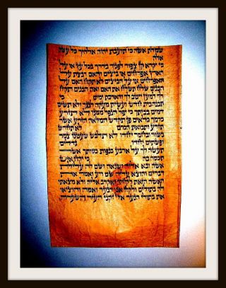 Thora - Manuscript,  Deer - Skin,  Ben Esra Synagogue,  Master Fathers,  Anno 1500 - Rar photo