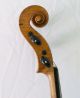 18th Century Beauty Very Old 4/4 Violin L.  : D.  Tecchler 1721 Violon Geige String photo 3