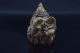 Antique Ganesha Buddhism Holy Amulet,  Ganesha Is Gods Of Success,  From Thailand Amulets photo 5