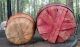 2 Vintage Bushel Splint Wood Fruit Apple Baskets Red And Green Bands 420 8 Quart Primitives photo 4