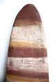 Early Aboriginal Ceremonial Shield - Northern Territory 1960 - 70 ' S Pacific Islands & Oceania photo 2