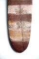 Early Aboriginal Ceremonial Shield - Northern Territory 1960 - 70 ' S Pacific Islands & Oceania photo 4