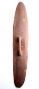 Early Aboriginal Ceremonial Shield - Northern Territory 1960 - 70 ' S Pacific Islands & Oceania photo 5