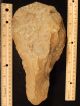 A Giant Million Year Old Acheulean Hand Axe Early Stone Age Mauritania 1537g Neolithic & Paleolithic photo 9