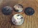 4 Antique Mother Of Pearl Metal Bronze Horse Shank Buttons 1 1/2 
