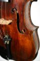 Old Antique 4/4 French Labeled Violin Gand & Bernardel 1888 Maggini Model String photo 2