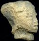 Pre - Columbian Aztec Mazapan Clay Figure Head,  Ca; 700 - 1200 Ad The Americas photo 3