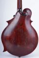 1902 Gibson F - 2 3 - Point Mandolin W/ Soft Leather Case Project Luthier String photo 1
