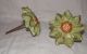 Pair Vintage Cast Iron Green Gold Flower Curtain Tie Backs,  Hooks Other Antique Hardware photo 1