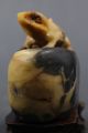 Natural Delicate Shoushan Stone Statue Of Lizards Other Antique Chinese Statues photo 3