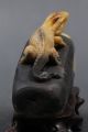 Natural Delicate Shoushan Stone Statue Of Lizards Other Antique Chinese Statues photo 7