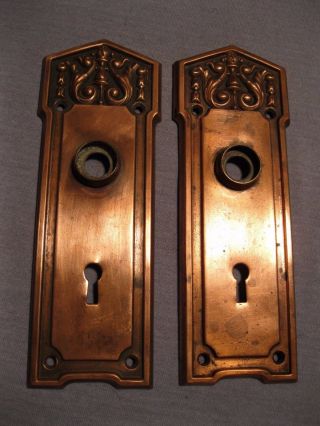 Old Art Nouveau Or Edwardian Leaf& Urn Pattern Brass Door Plates Copper Finish photo