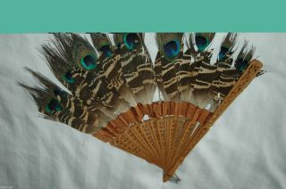 Antique Peacock W/other Feathers Boxwood Carved Folding Fan 11 