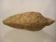 Ancient Judean Palm Leaf Oil Lamp,  Artifact From The Holy Land 300 - 500ad Byzantine photo 2