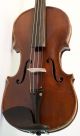 Very Old 4/4 Violin With Label: Degani G.  E.  1908 Geige Violon Cello String photo 7