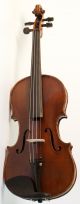 Very Old 4/4 Violin With Label: Degani G.  E.  1908 Geige Violon Cello String photo 8
